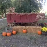 Little Munchkins Pumpkin Patch photo