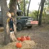Little Munchkins Pumpkin Patch photo