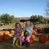 Little Munchkins Pumpkin Patch photo