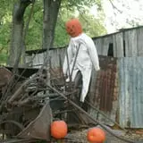Little Munchkins Pumpkin Patch photo