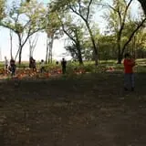 Little Munchkins Pumpkin Patch photo