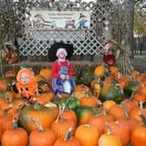 Little Munchkins Pumpkin Patch photo