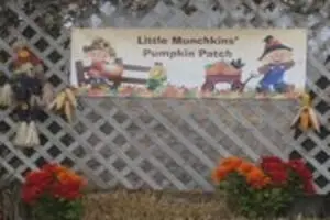 Little Munchkins Pumpkin Patch