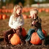 Middleton Farms Fall Festival & Corn Maze photo