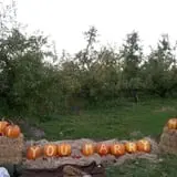 Barden Family Orchard photo