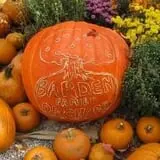 Barden Family Orchard photo