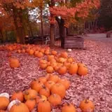Barden Family Orchard photo