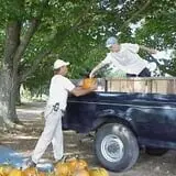 Barden Family Orchard photo