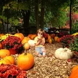 Barden Family Orchard photo