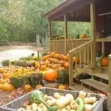 Barden Family Orchard photo