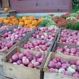 Barden Family Orchard photo