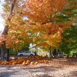 Barden Family Orchard photo