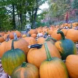 Barden Family Orchard photo