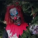 Journey Haunted Trails