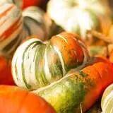 Big Springs Farms Pumpkin Patch photo