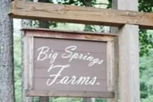 Big Springs Farms Pumpkin Patch Logo