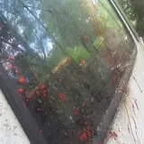 Psycho Path photo