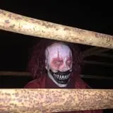 Psycho Path photo