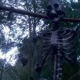 Psycho Path photo