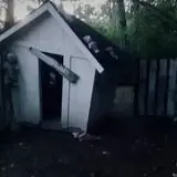 Psycho Path photo