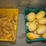 Cabalos Orchard and Gardens photo