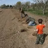 Cabalos Orchard and Gardens photo