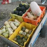Cabalos Orchard and Gardens photo