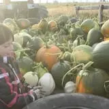 Cabalos Orchard and Gardens photo