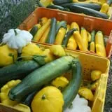 Cabalos Orchard and Gardens photo