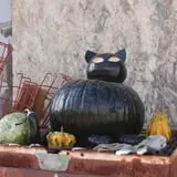 Cabalos Orchard and Gardens photo