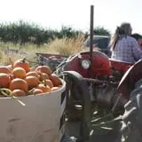 Cabalos Orchard and Gardens photo