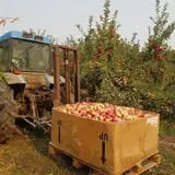 Cabalos Orchard and Gardens photo
