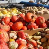 Cabalos Orchard and Gardens photo