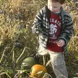 Cabalos Orchard and Gardens photo