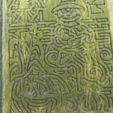 Twin Falls Corn Maze photo