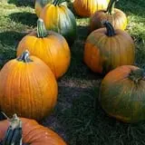 McKenna Family Farm photo