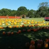 McKenna Family Farm photo