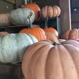 McKenna Family Farm photo