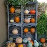 McKenna Family Farm photo