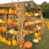 McKenna Family Farm photo