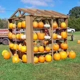 McKenna Family Farm photo