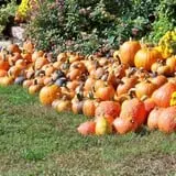 McKenna Family Farm photo