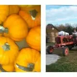 McKenna Family Farm photo