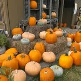 McKenna Family Farm photo