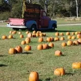 McKenna Family Farm photo