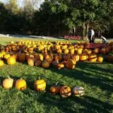 McKenna Family Farm photo