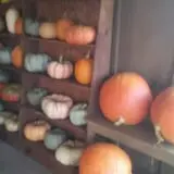 McKenna Family Farm photo