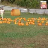 McKenna Family Farm photo