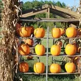 McKenna Family Farm photo