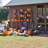 McKenna Family Farm photo